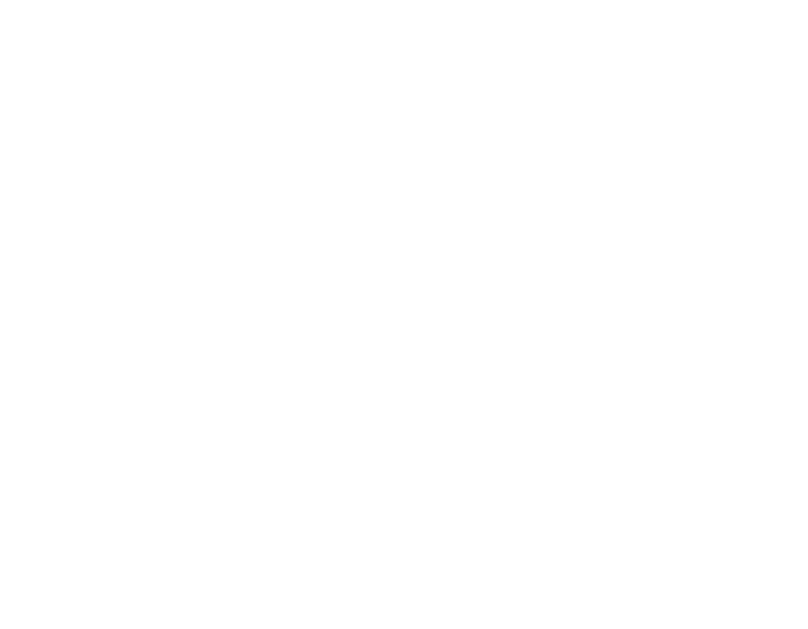 AltoNewMetals